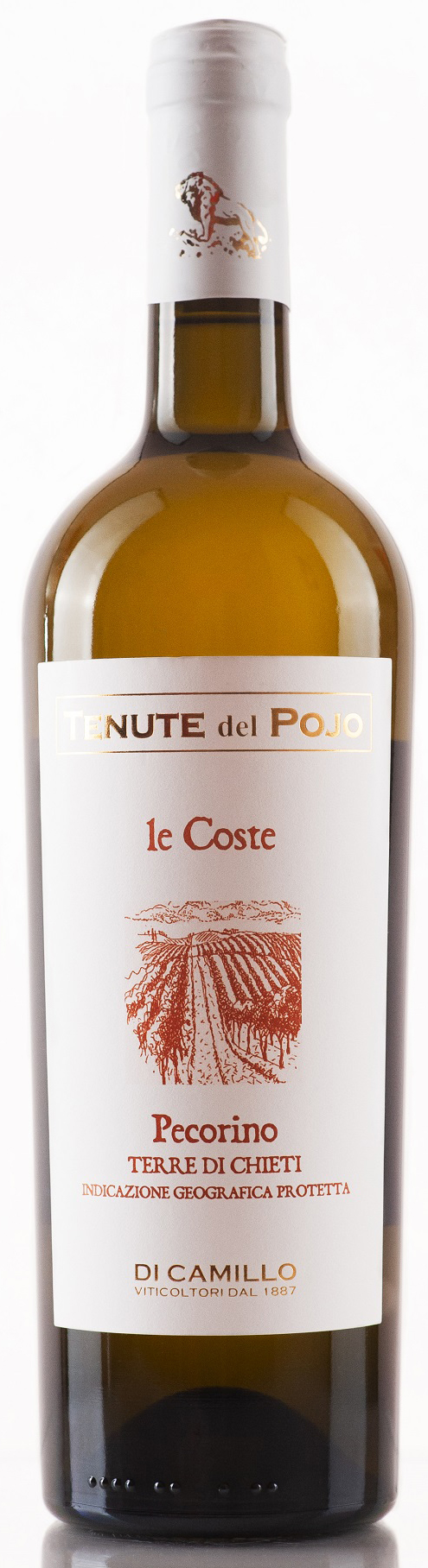 Pecorino Pecorino, Weingut di Camillo, Abruzzen , 0,75 l
